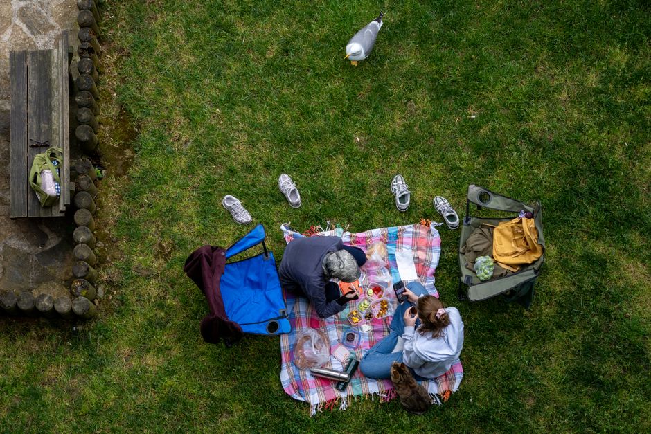 21 Park Picnic ideas for rescuing old materials