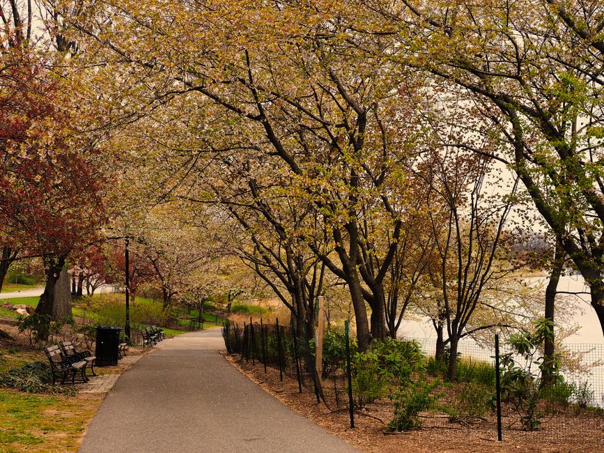 Park Loop for a fresh-start Monday — wellness · Walking & Outdoor