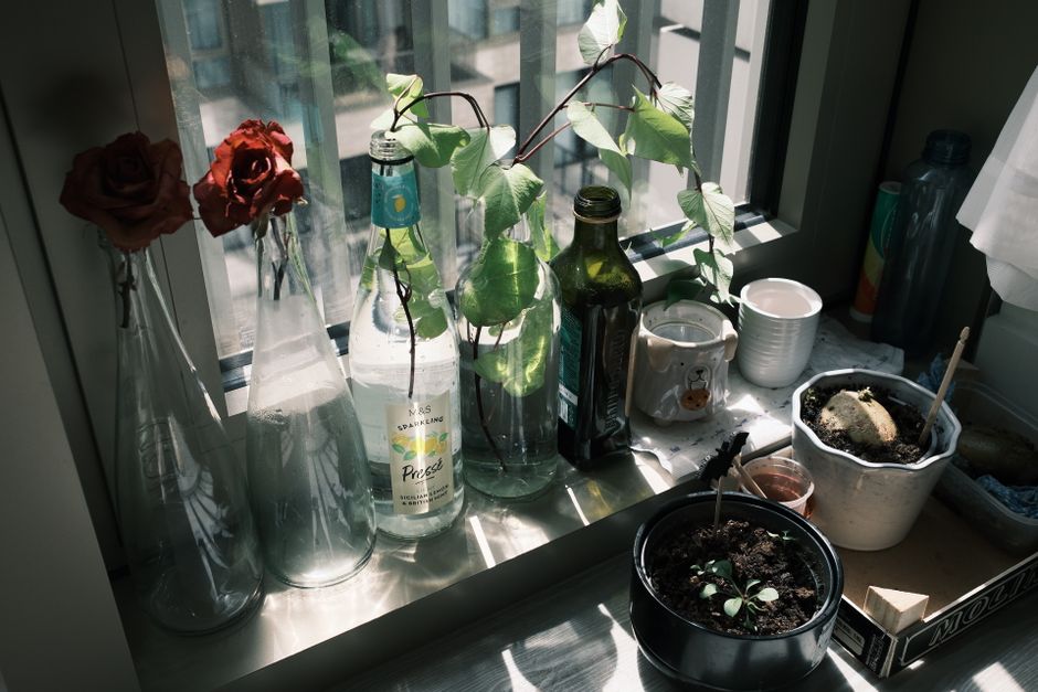 20 Wine-Bottle Vase ideas