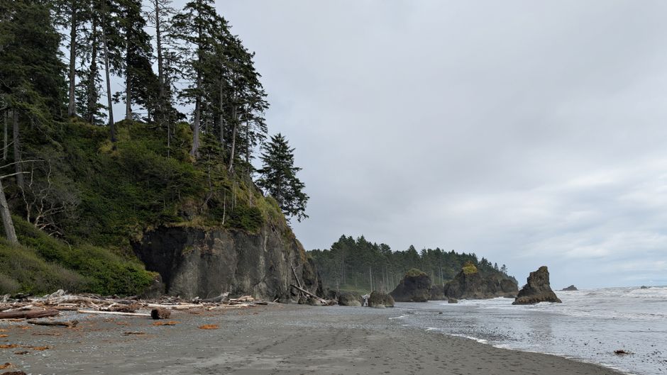 Olympic Peninsula Coast near a hidden garden — travel · USA Travel
