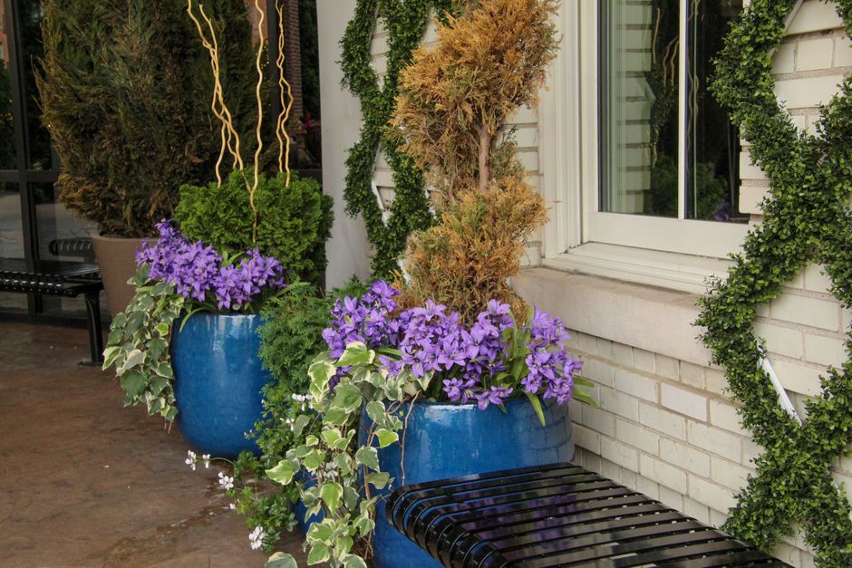 Container Garden with a useful styling trick — home · Garden & Outdoor