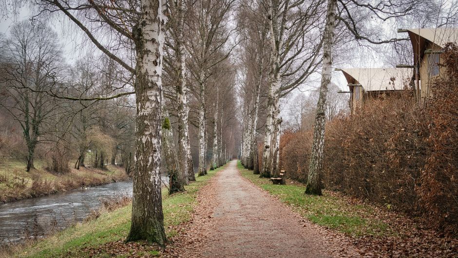 River Path for a low-pressure workout — wellness · Walking & Outdoor