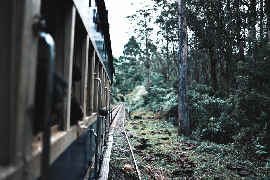25 Scenic Train Ride ideas for rainy weather