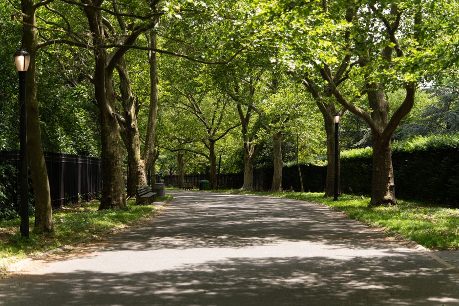Park Loop for a short outdoor break — wellness · Walking & Outdoor