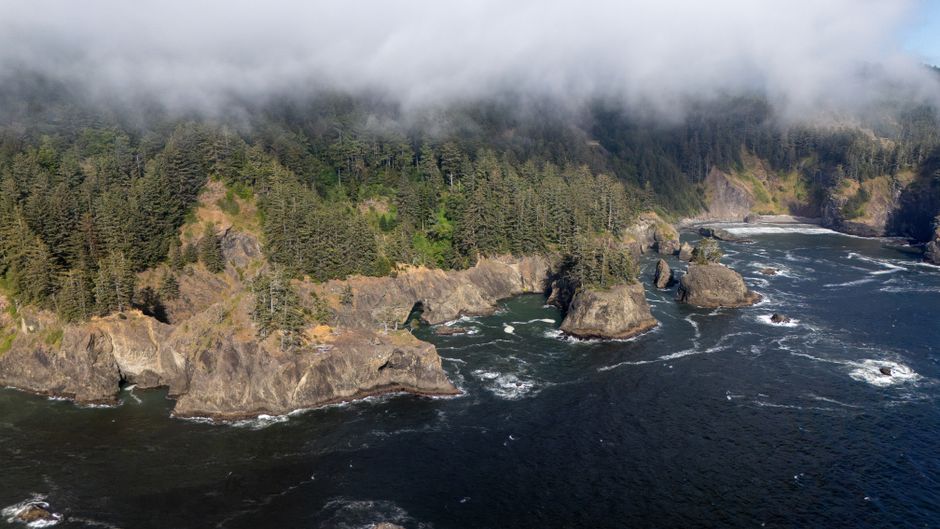 Olympic Peninsula Coast near a public trail — travel · USA Travel