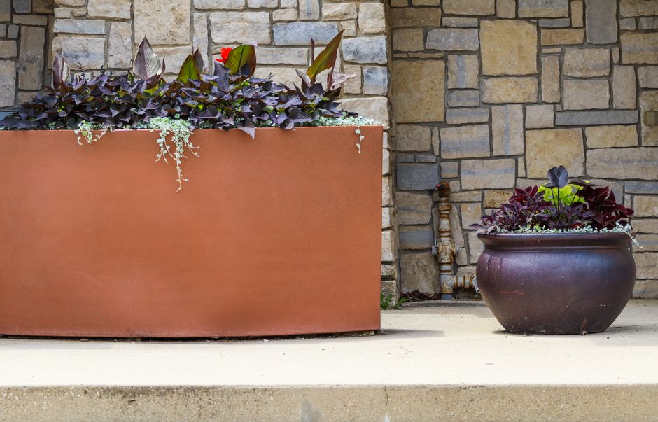 Container Garden with a soft curved silhouette — home · Garden & Outdoor