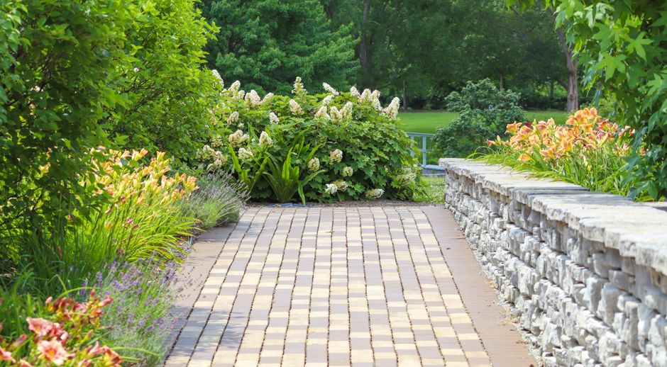 Botanical Garden Path for a low-impact session — wellness · Walking & Outdoor