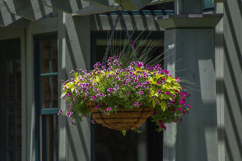 Vertical Planter with one sculptural accent — home · Garden & Outdoor