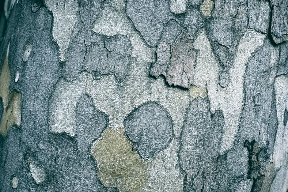 Texture Close-Up with a bold geometric pattern — diy-creativity · Photography