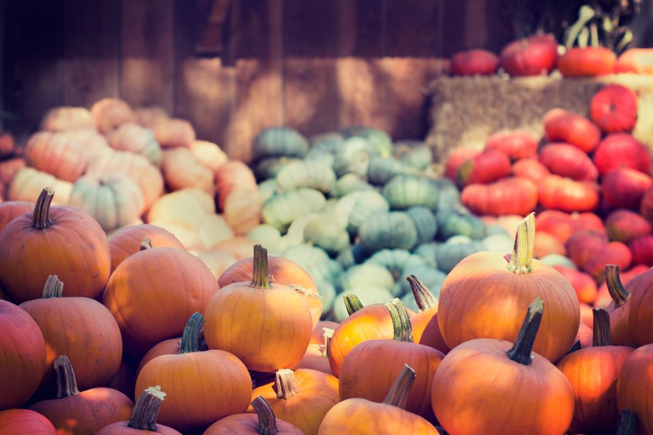 22 Roadside Farm Stand ideas for a memorable first day