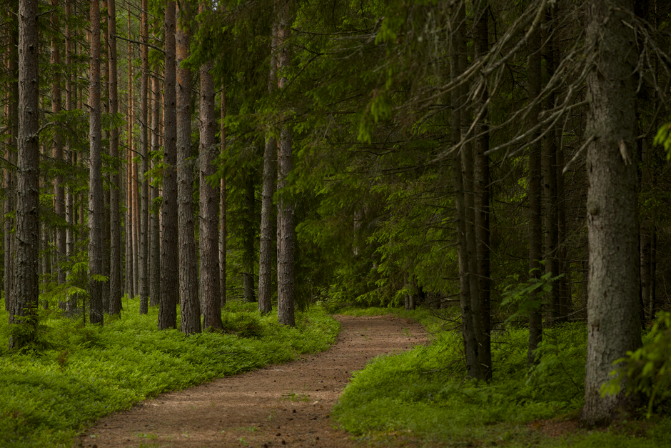 mindful walking & outdoor pauses during a weekend morning — wellness · Walking & Outdoor