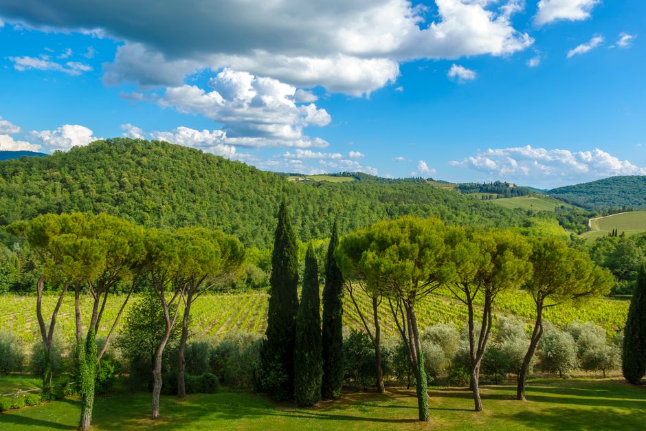 Vineyard Lunch with a slower second day — travel · Weekend Getaways