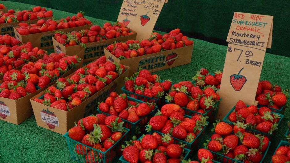 Roadside Farm Stand for a low-stress road day — travel · Road Trips