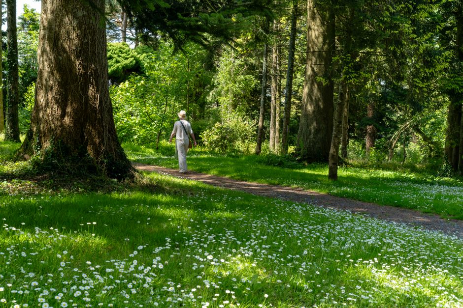 mindful walking & outdoor pauses during a midday reset — wellness · Walking & Outdoor