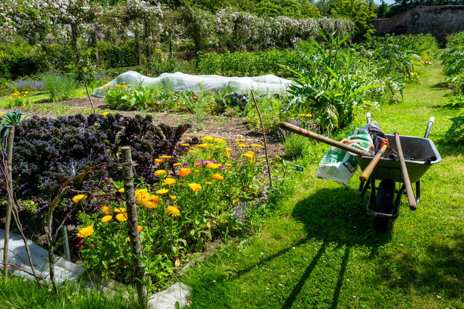 Raised Bed with woven texture — home · Garden & Outdoor