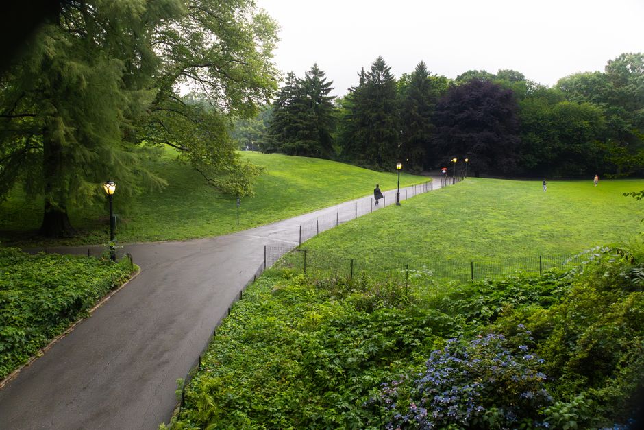Park Loop with gentle movement — wellness · Walking & Outdoor