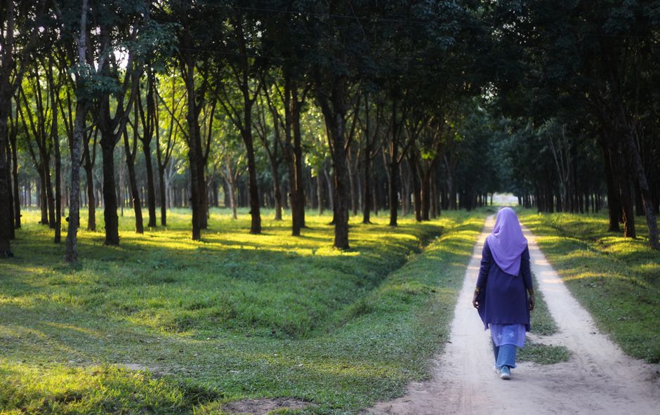 Quiet Walk for a solo afternoon — lifestyle · Self-Care