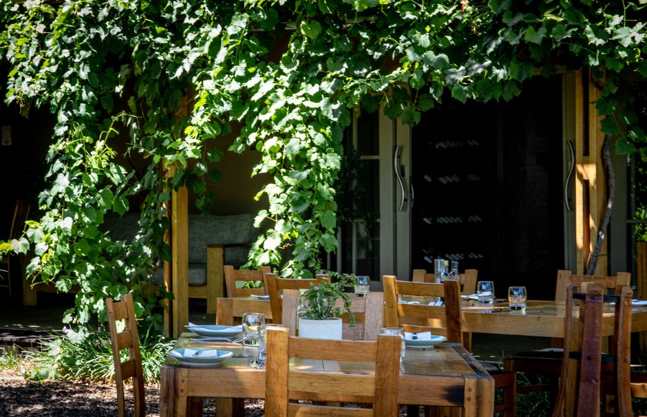 Vineyard Lunch for a rainy-day backup — travel · Weekend Getaways