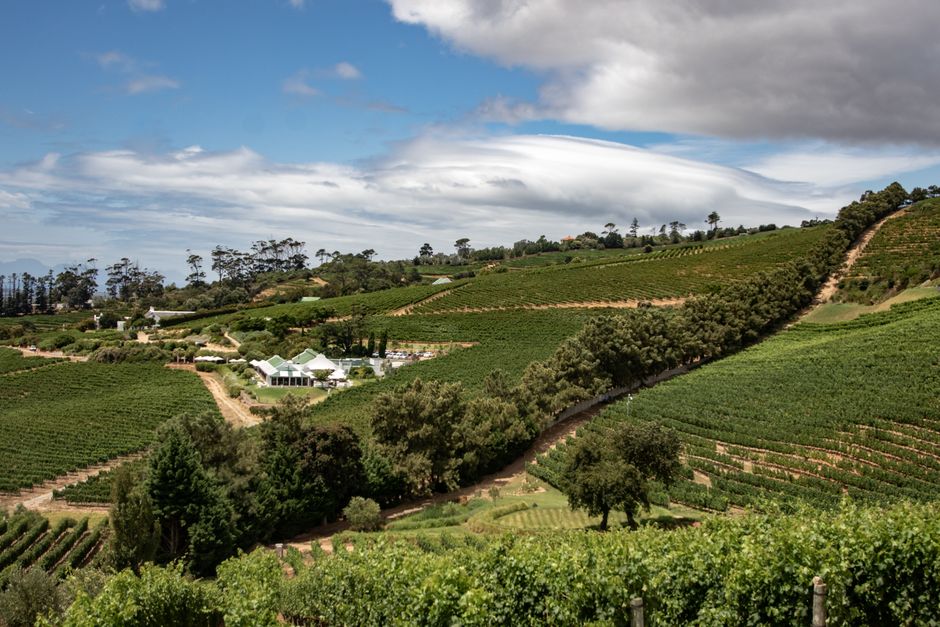 20 Vineyard Lunch ideas for a weekend with a plan