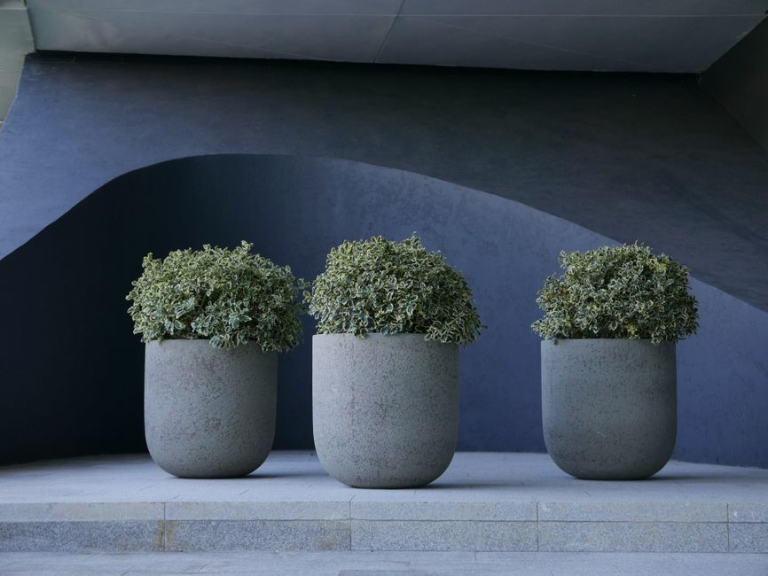 Rope Planter with a fabric accent — home · DIY