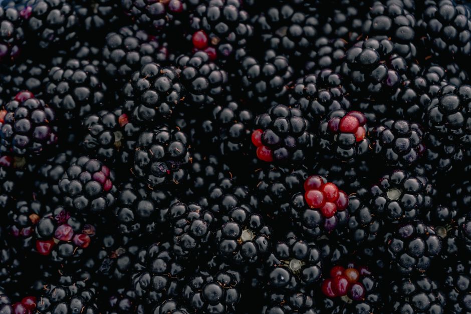Blackberry Sage Cooler with pomegranate seeds — food · Drinks