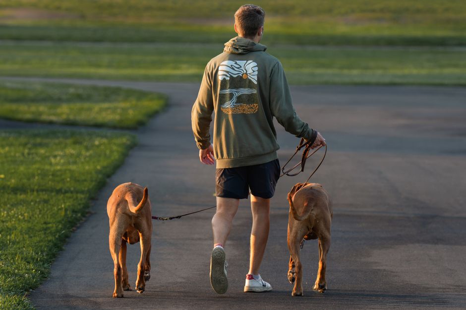daily walking & outdoor resets that take only a few minutes during a midday reset — wellness · Walking & Outdoor