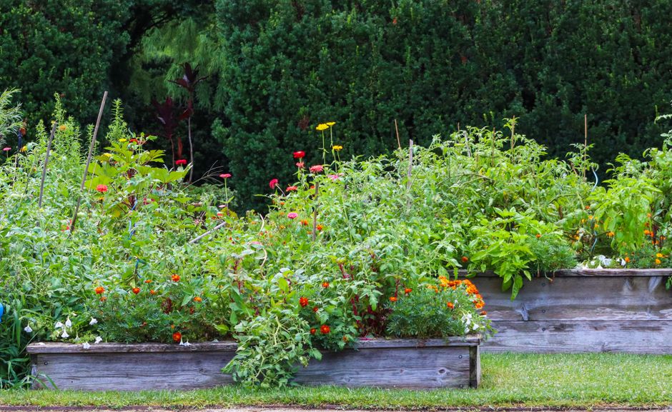 Raised Bed with a durable everyday finish — home · Garden & Outdoor