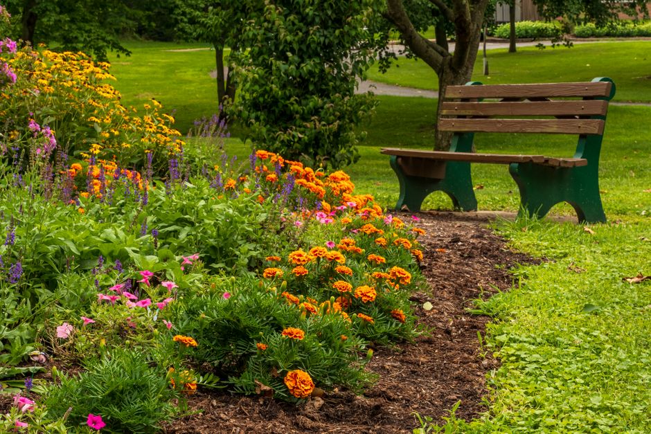 Try A Public Garden around an art-filled neighborhood — travel · Things to Do