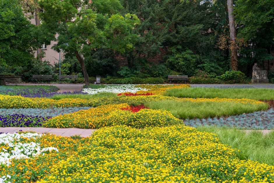 Try A Public Garden around a neighborhood market — travel · Things to Do