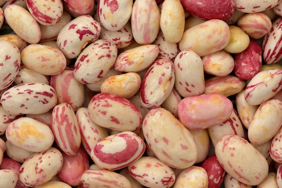 Creamy Tuscan White Beans for one pan cleanup — food · Dinner Ideas