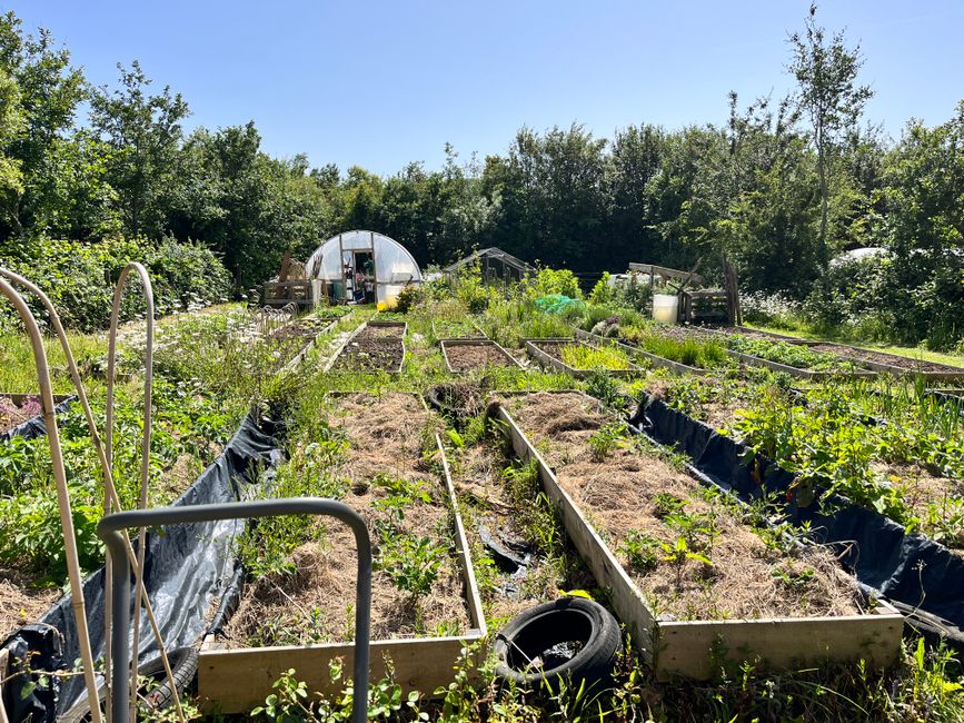 30 Raised Bed ideas