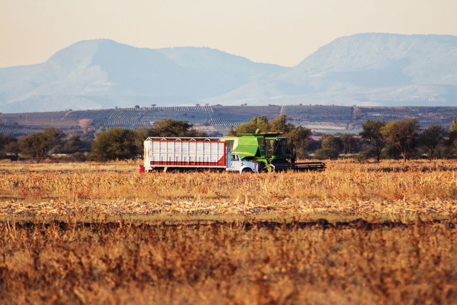 Roadside Farm Stand with a photo-friendly pause — travel · Road Trips