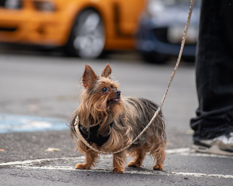 30 Neighborhood Photo Walk ideas for friendly competition