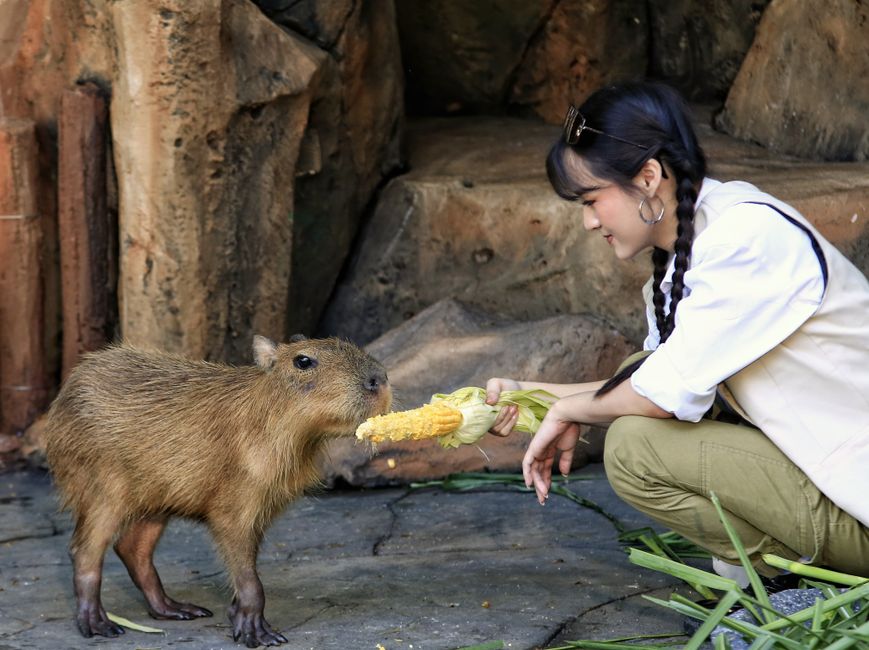 Zoo Morning with a scenic picnic — travel · Family Travel