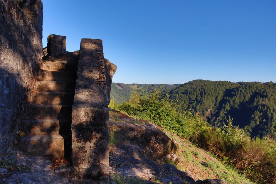 Hilltop Trail after a late night after a late night — wellness · Walking & Outdoor