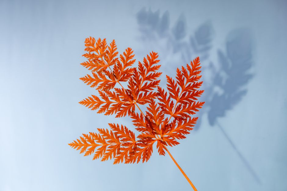 Shadow Study using leftover materials — diy-creativity · Photography