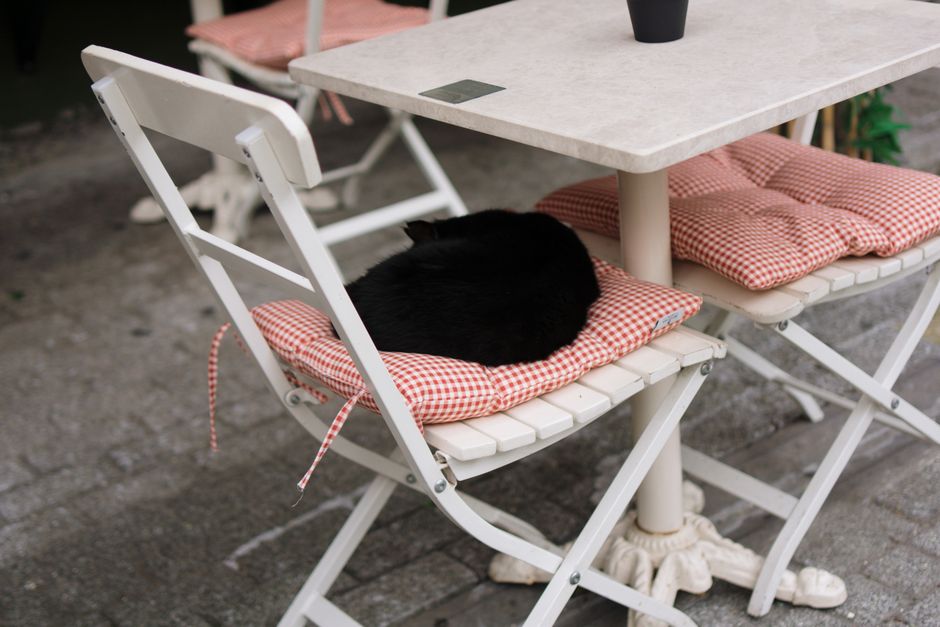 Sweater Cushion for a rainy afternoon — diy-creativity · Upcycling