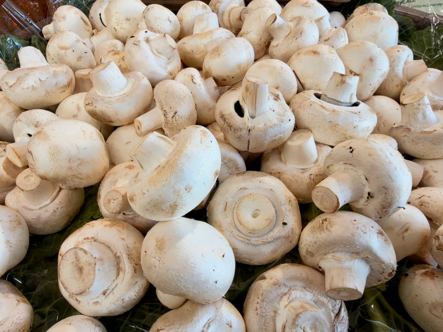 Stuffed Mushroom Caps with a herb oil — food · Party Food