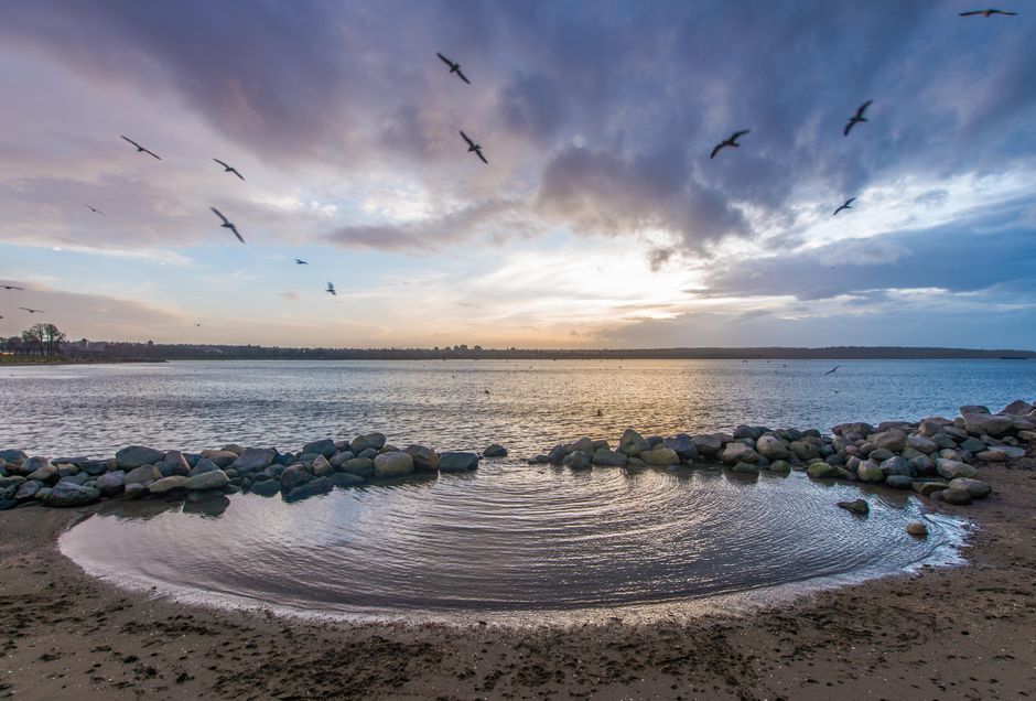 Tide-Pool Morning with a golden-hour viewpoint — travel · Beach Vacations