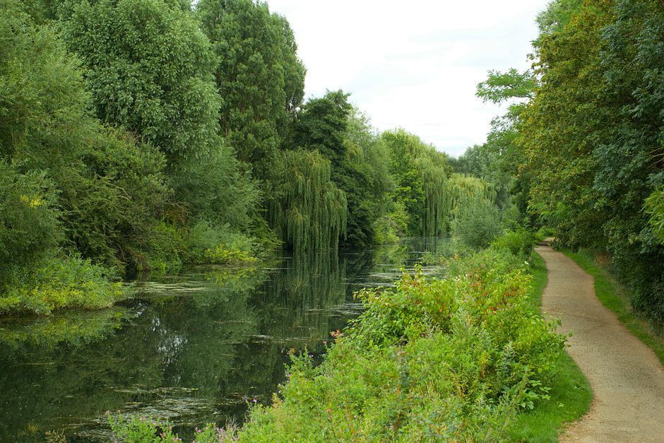 River Path with a short breathing pause — wellness · Walking & Outdoor