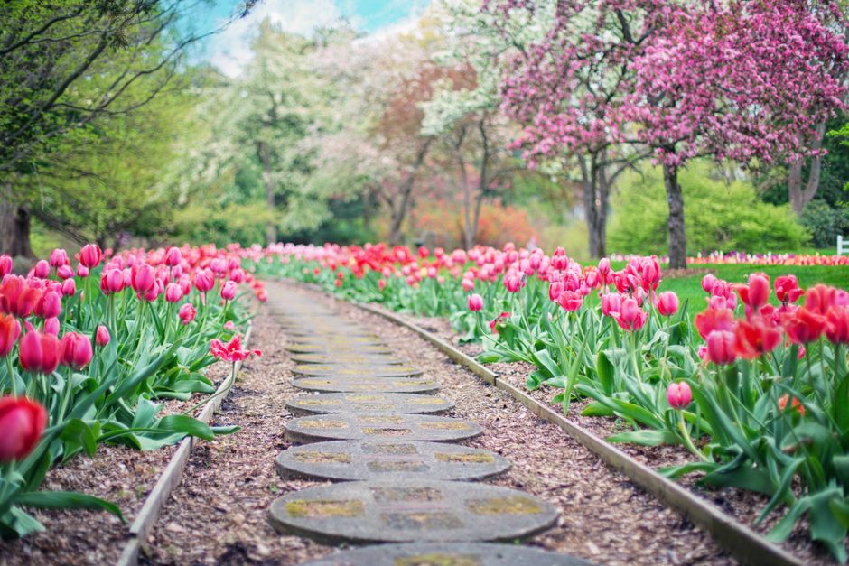 Botanical Garden Path for a more restful night — wellness · Walking & Outdoor
