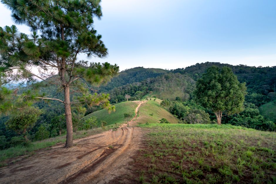 Hilltop Trail after a demanding week after a demanding week — wellness · Walking & Outdoor