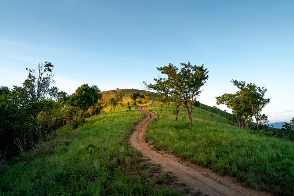 Hilltop Trail with a body-scan moment — wellness · Walking & Outdoor