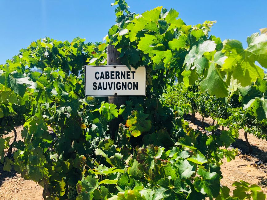 Vineyard Lunch for an off-season visit — travel · Weekend Getaways