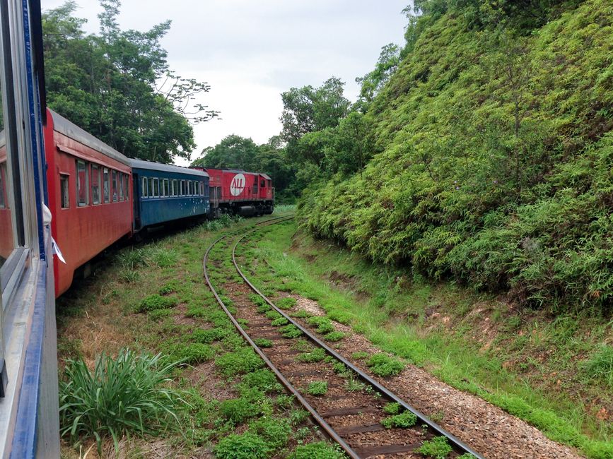 Scenic Train Ride for an early-morning start — travel · Couples Travel