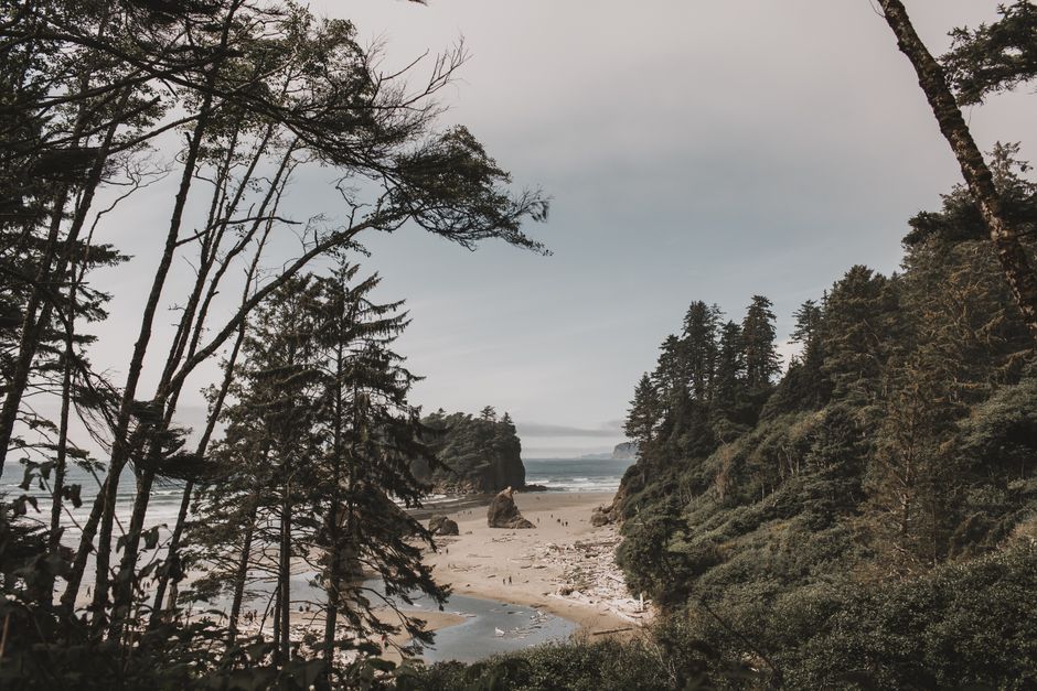 Olympic Peninsula Coast with a weather-flexible route — travel · USA Travel