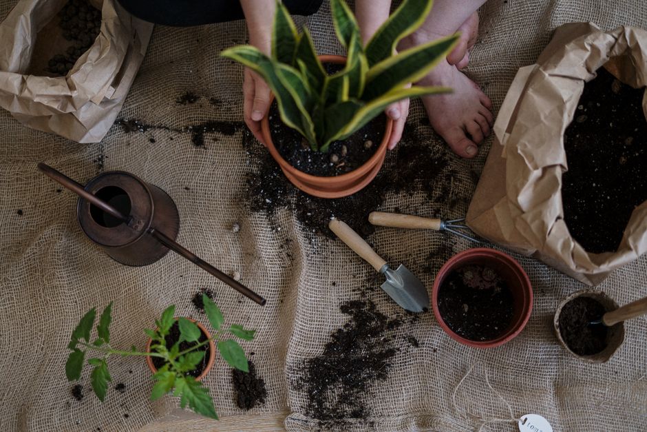weekend garden & outdoor projects you can actually finish with one sculptural accent — home · Garden & Outdoor