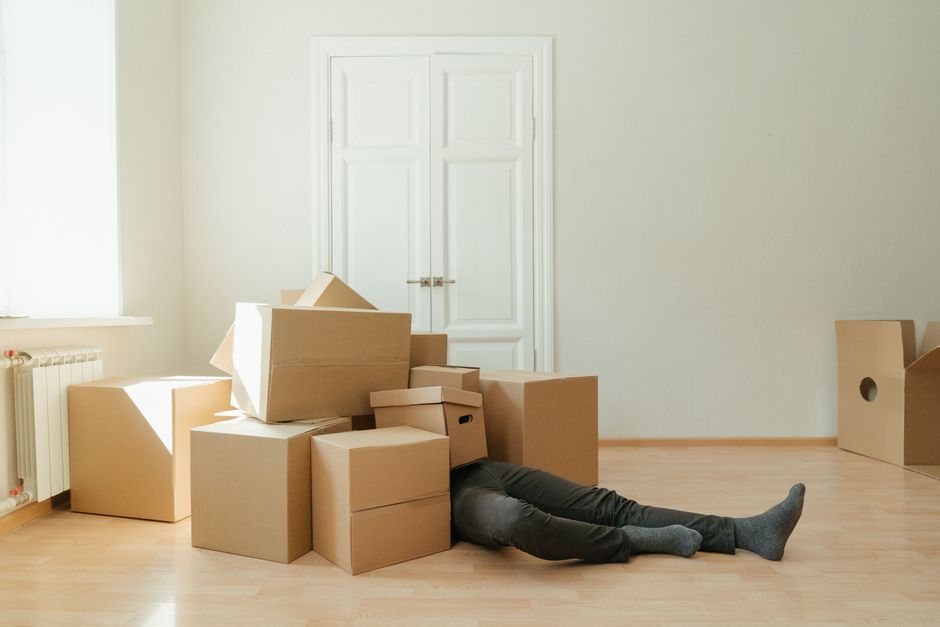24 Under-Bed Boxes ideas