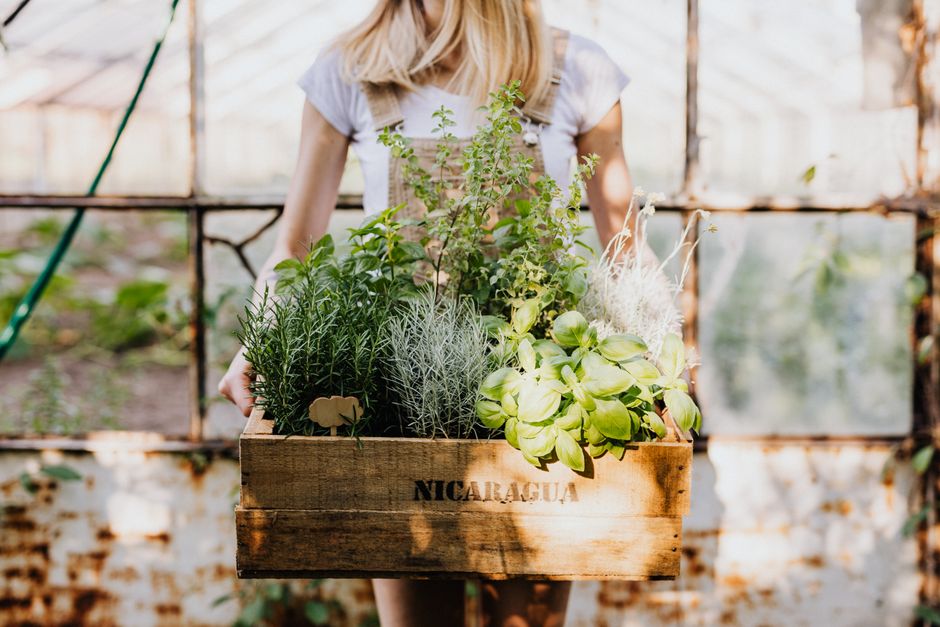weekend garden & outdoor projects you can actually finish using mixed wood tones — home · Garden & Outdoor