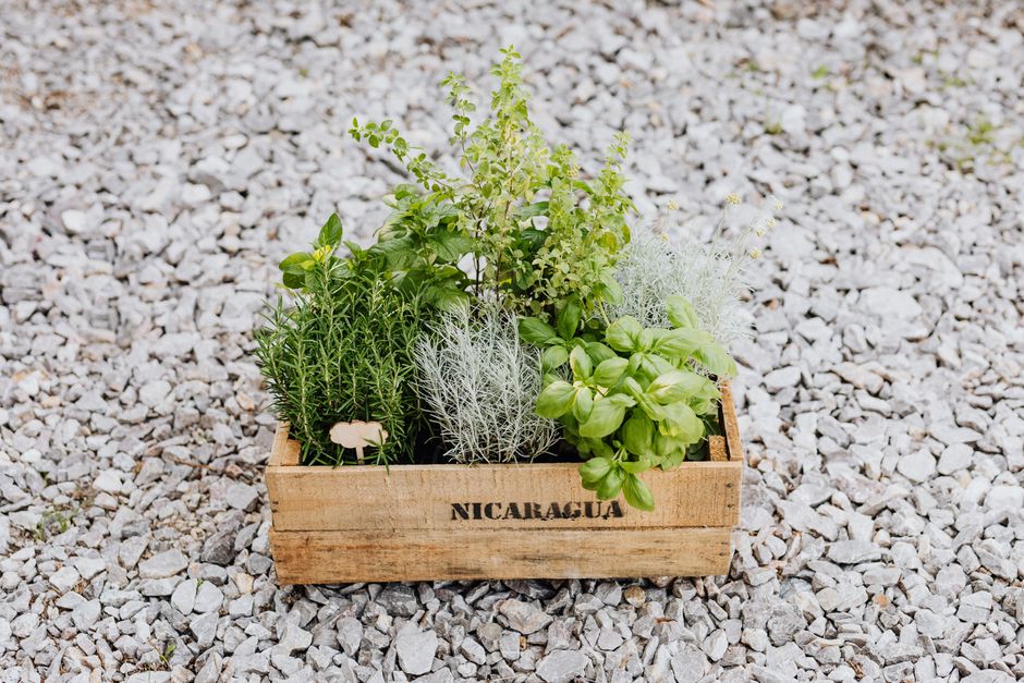 21 Herb Planter ideas